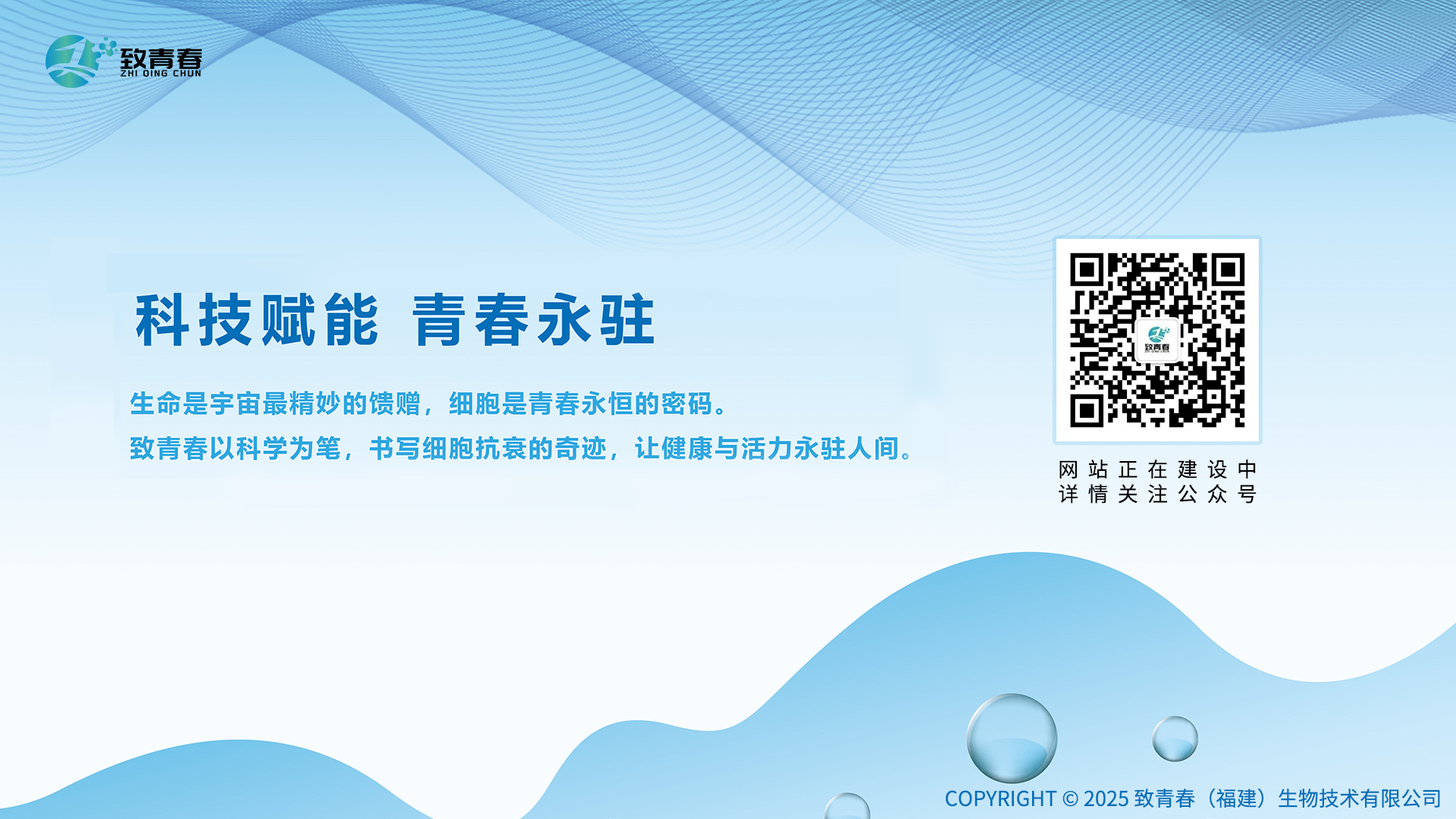 全屏图片